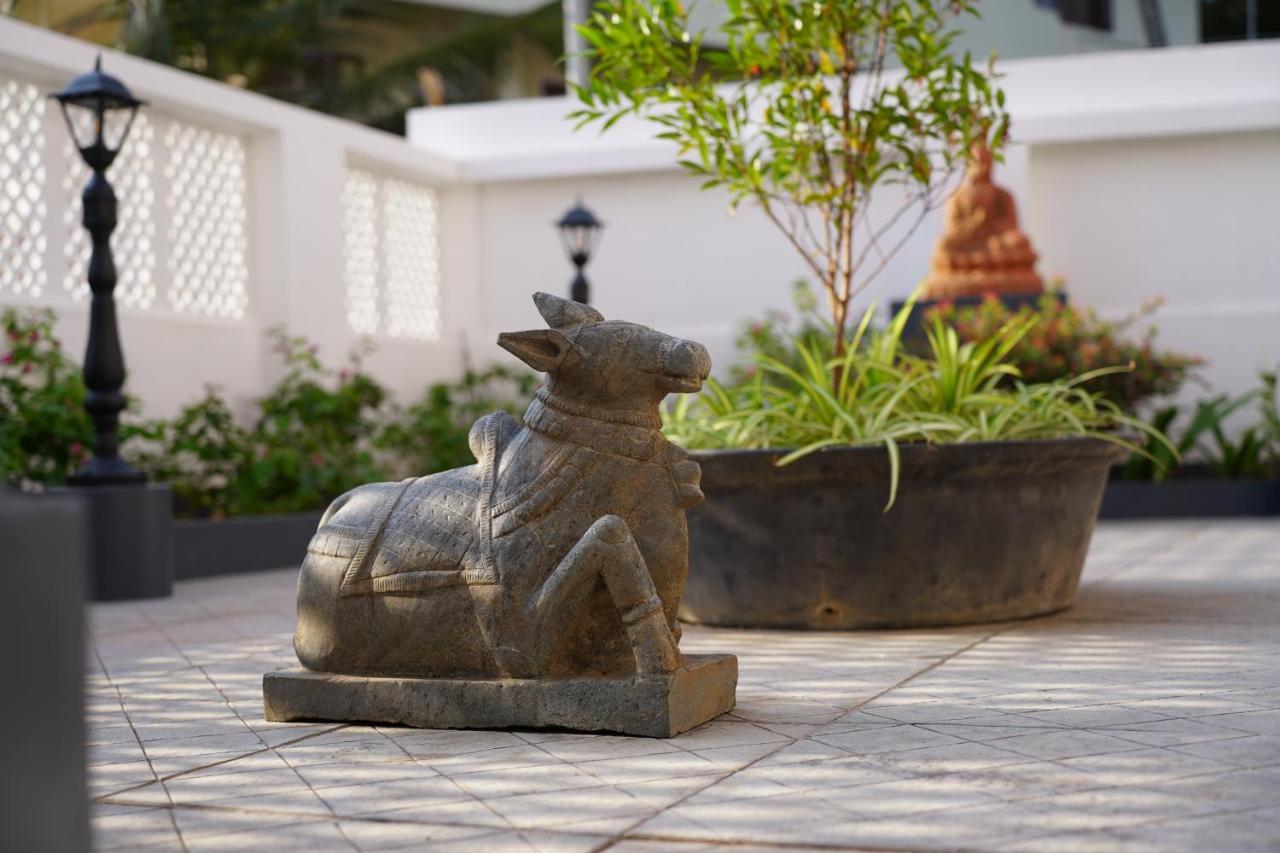 Buddha Beach Hotel Kovalam Εξωτερικό φωτογραφία
