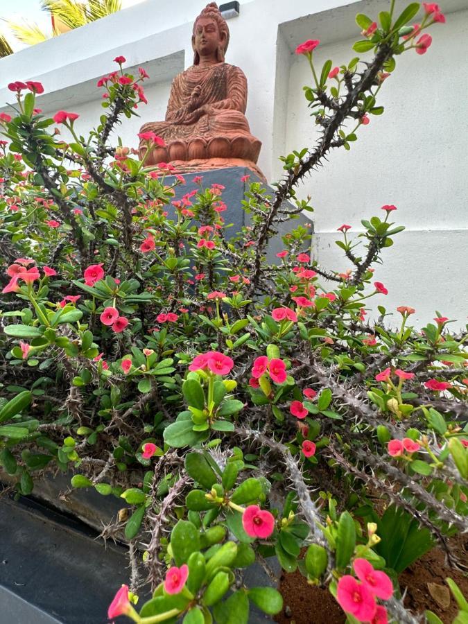 Buddha Beach Hotel Kovalam Εξωτερικό φωτογραφία