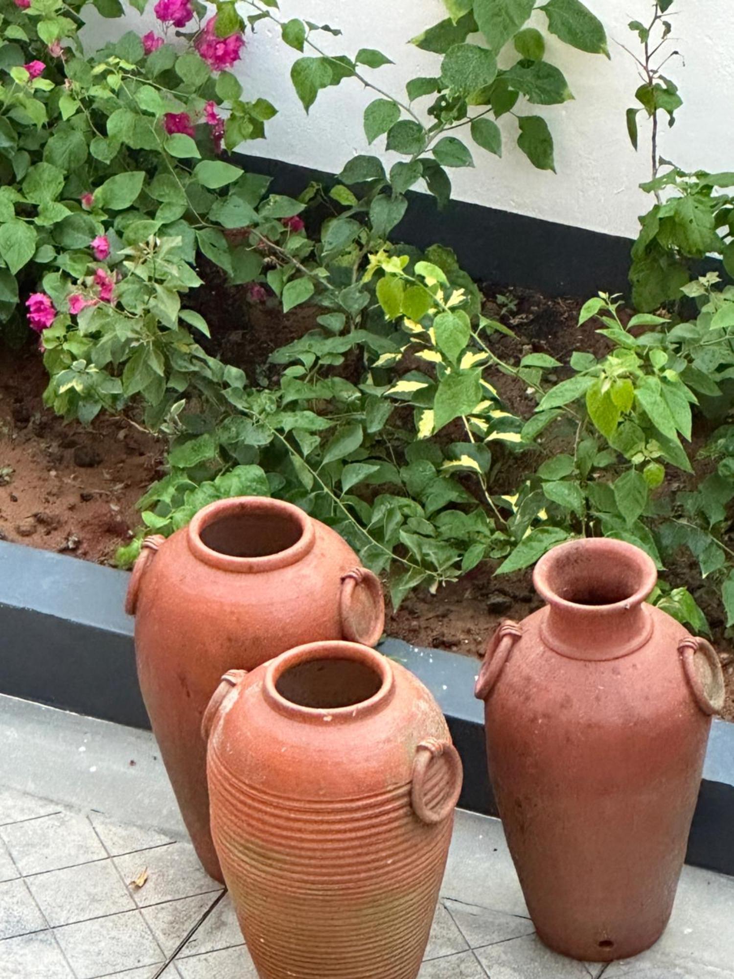 Buddha Beach Hotel Kovalam Εξωτερικό φωτογραφία